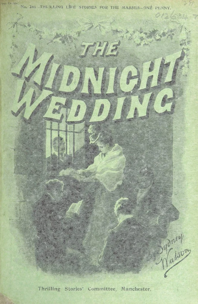 An illustration from Thrilling Life Stories for the Masses, 1892, leaf 327