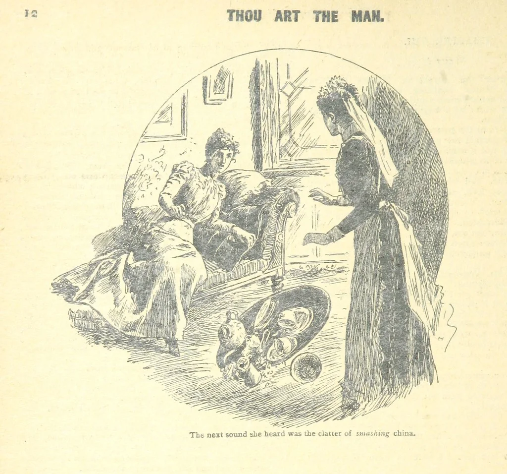 An illustration from Thrilling Life Stories for the Masses, 1892, leaf 100