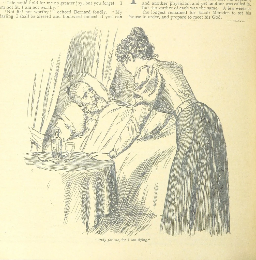 An illustration from Thrilling Life Stories for the Masses, 1892, leaf 340