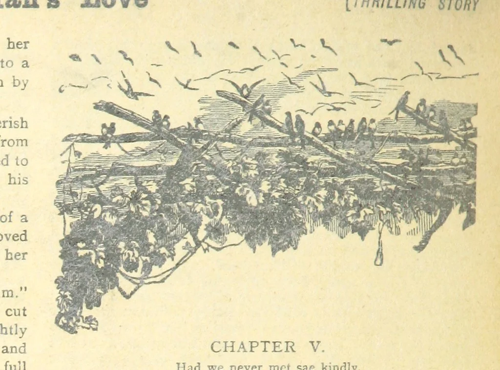 An illustration from Thrilling Life Stories for the Masses, 1892, leaf 356