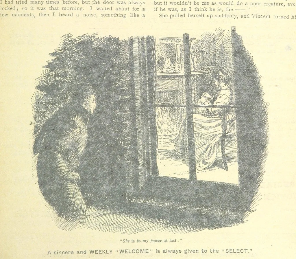 An illustration from Thrilling Life Stories for the Masses, 1892, leaf 43