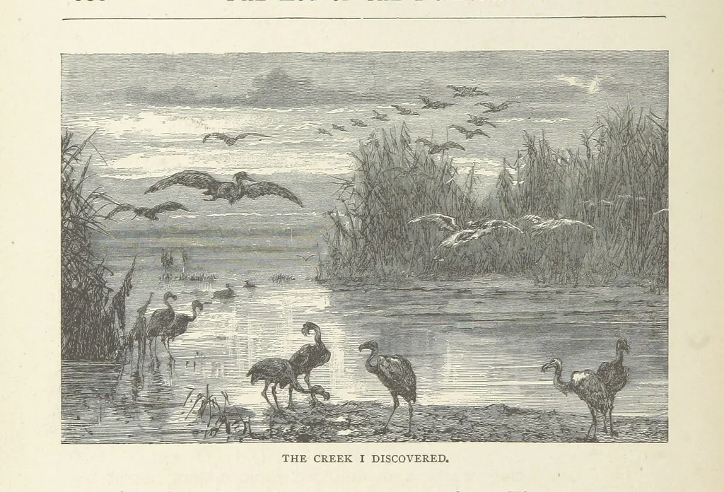 An illustration from The Log of the Fortuna: a cruise in Chinese Waters. Containing tales of adventure in foreign climes, by sea and by shore. [With illustrations, 1870, leaf 120