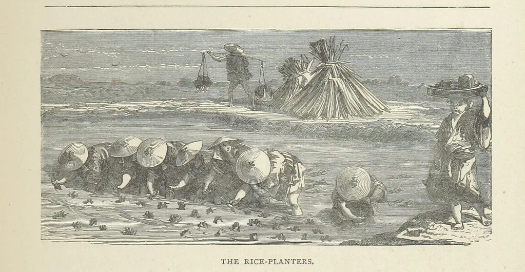 An illustration from The Log of the Fortuna: a cruise in Chinese Waters. Containing tales of adventure in foreign climes, by sea and by shore. [With illustrations, 1870, leaf 153