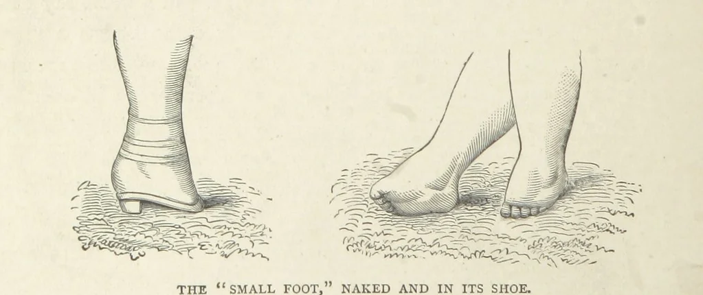 An illustration from The Log of the Fortuna: a cruise in Chinese Waters. Containing tales of adventure in foreign climes, by sea and by shore. [With illustrations, 1870, leaf 154