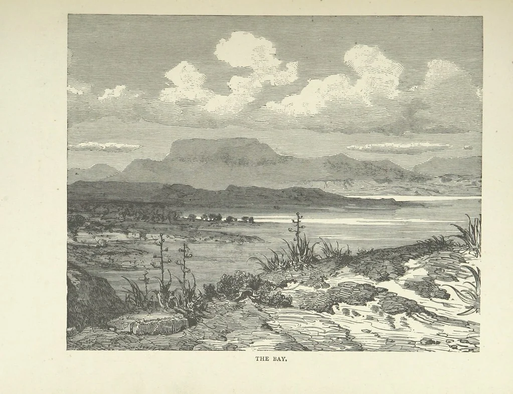 An illustration from The Log of the Fortuna: a cruise in Chinese Waters. Containing tales of adventure in foreign climes, by sea and by shore. [With illustrations, 1870, leaf 171
