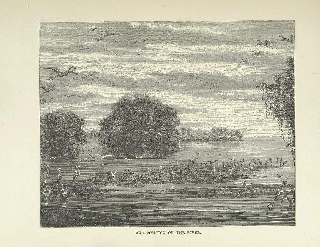 An illustration from The Log of the Fortuna: a cruise in Chinese Waters. Containing tales of adventure in foreign climes, by sea and by shore. [With illustrations, 1870, leaf 179