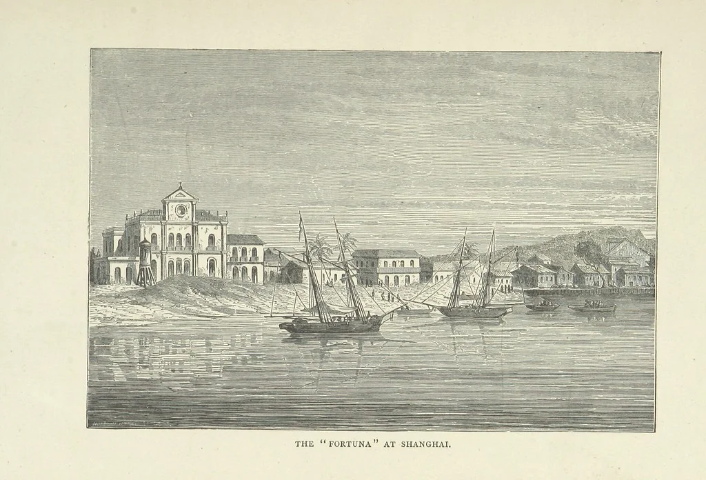 An illustration from The Log of the Fortuna: a cruise in Chinese Waters. Containing tales of adventure in foreign climes, by sea and by shore. [With illustrations, 1870, leaf 21