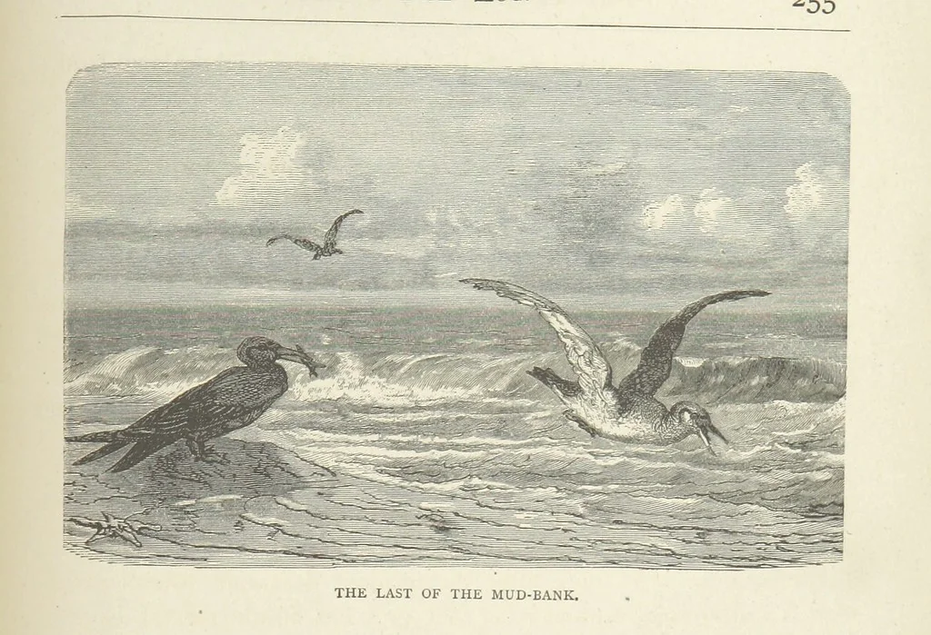 An illustration from The Log of the Fortuna: a cruise in Chinese Waters. Containing tales of adventure in foreign climes, by sea and by shore. [With illustrations, 1870, leaf 267