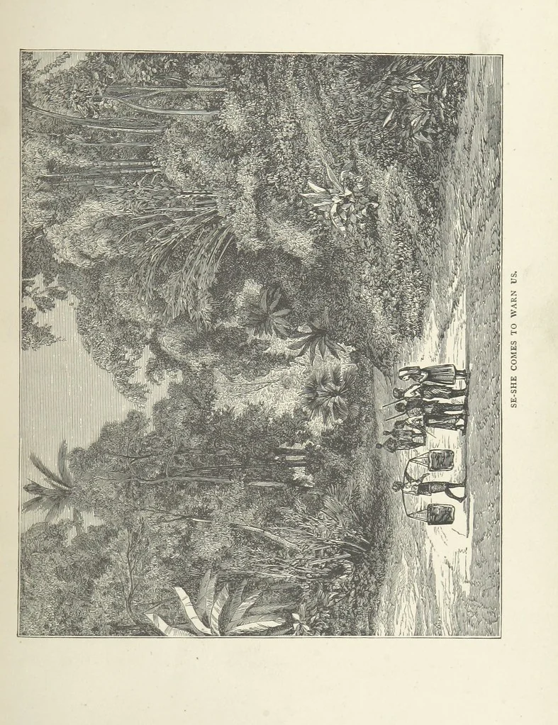 An illustration from The Log of the Fortuna: a cruise in Chinese Waters. Containing tales of adventure in foreign climes, by sea and by shore. [With illustrations, 1870, leaf 51