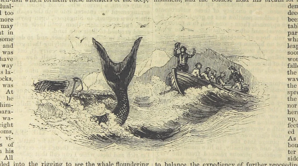 An illustration from Tales of Shipwrecks and Adventures at Sea: ... with celebrated voyages, amusing tales ... and ... anecdotes. Illustrated with ... engravings ... Edited by J. L. No. 1-59, 1846, leaf 156