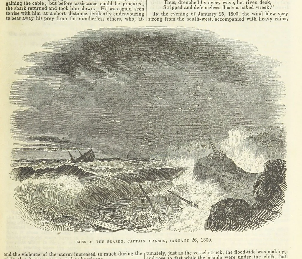 An illustration from Tales of Shipwrecks and Adventures at Sea: ... with celebrated voyages, amusing tales ... and ... anecdotes. Illustrated with ... engravings ... Edited by J. L. No. 1-59, 1846, leaf 209