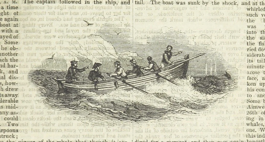An illustration from Tales of Shipwrecks and Adventures at Sea: ... with celebrated voyages, amusing tales ... and ... anecdotes. Illustrated with ... engravings ... Edited by J. L. No. 1-59, 1846, leaf 237