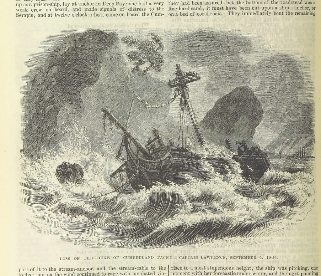 An illustration from Tales of Shipwrecks and Adventures at Sea: ... with celebrated voyages, amusing tales ... and ... anecdotes. Illustrated with ... engravings ... Edited by J. L. No. 1-59, 1846, leaf 360