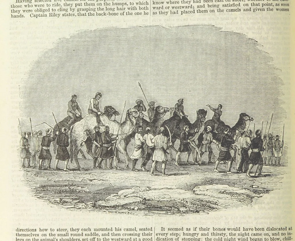 An illustration from Tales of Shipwrecks and Adventures at Sea: ... with celebrated voyages, amusing tales ... and ... anecdotes. Illustrated with ... engravings ... Edited by J. L. No. 1-59, 1846, leaf 424