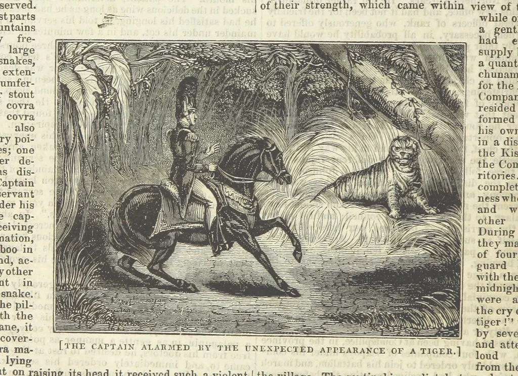 An illustration from Tales of Shipwrecks and Adventures at Sea: ... with celebrated voyages, amusing tales ... and ... anecdotes. Illustrated with ... engravings ... Edited by J. L. No. 1-59, 1846, leaf 708
