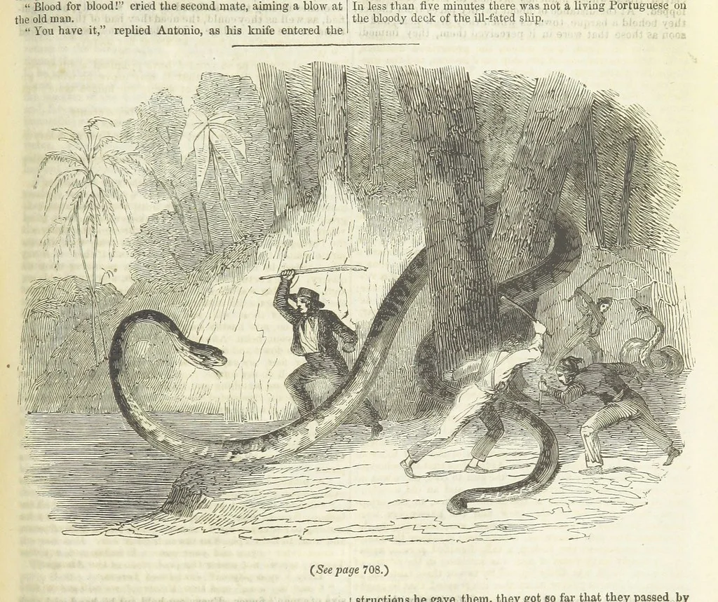 An illustration from Tales of Shipwrecks and Adventures at Sea: ... with celebrated voyages, amusing tales ... and ... anecdotes. Illustrated with ... engravings ... Edited by J. L. No. 1-59, 1846, leaf 737