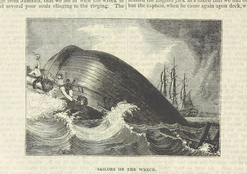 An illustration from Tales of Shipwrecks and Adventures at Sea: ... with celebrated voyages, amusing tales ... and ... anecdotes. Illustrated with ... engravings ... Edited by J. L. No. 1-59, 1846, leaf 92