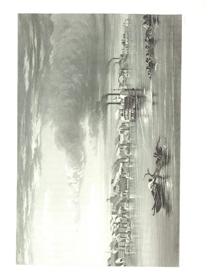 An illustration from Route from Liverpool to Great Salt Lake Valley illustrated ... from sketches ... by Frederick Piercy, and containing a map of the overland portion of the journey. Edited by J. Linforth. [With plates, including portraits, 1855, leaf 112
