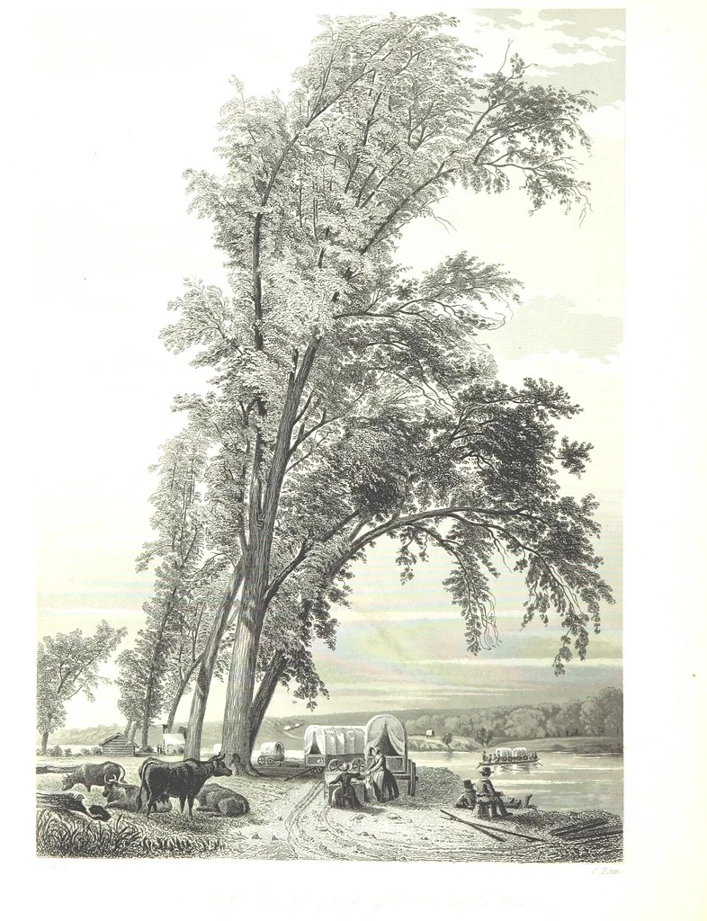 An illustration from Route from Liverpool to Great Salt Lake Valley illustrated ... from sketches ... by Frederick Piercy, and containing a map of the overland portion of the journey. Edited by J. Linforth. [With plates, including portraits, 1855, leaf 176