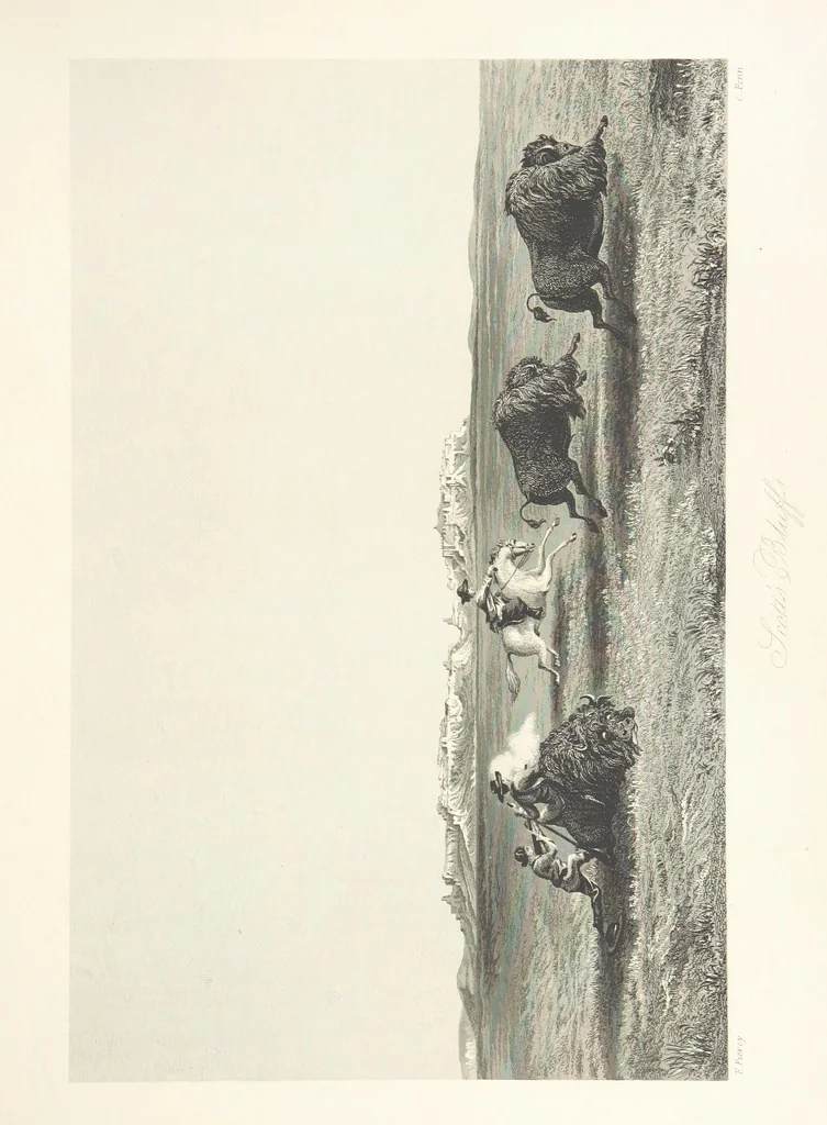 An illustration from Route from Liverpool to Great Salt Lake Valley illustrated ... from sketches ... by Frederick Piercy, and containing a map of the overland portion of the journey. Edited by J. Linforth. [With plates, including portraits, 1855, leaf 201