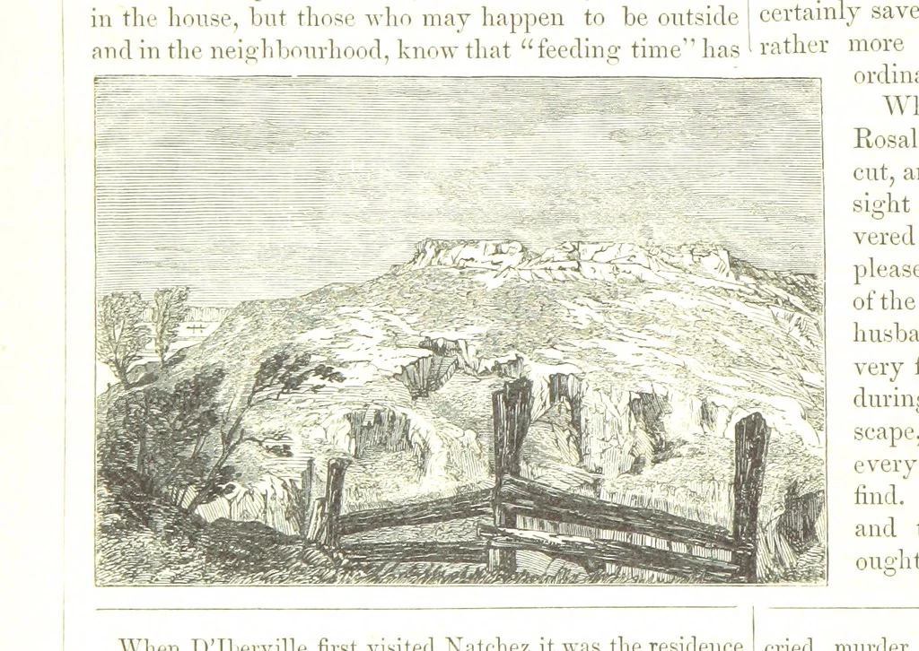An illustration from Route from Liverpool to Great Salt Lake Valley illustrated ... from sketches ... by Frederick Piercy, and containing a map of the overland portion of the journey. Edited by J. Linforth. [With plates, including portraits, 1855, leaf 90