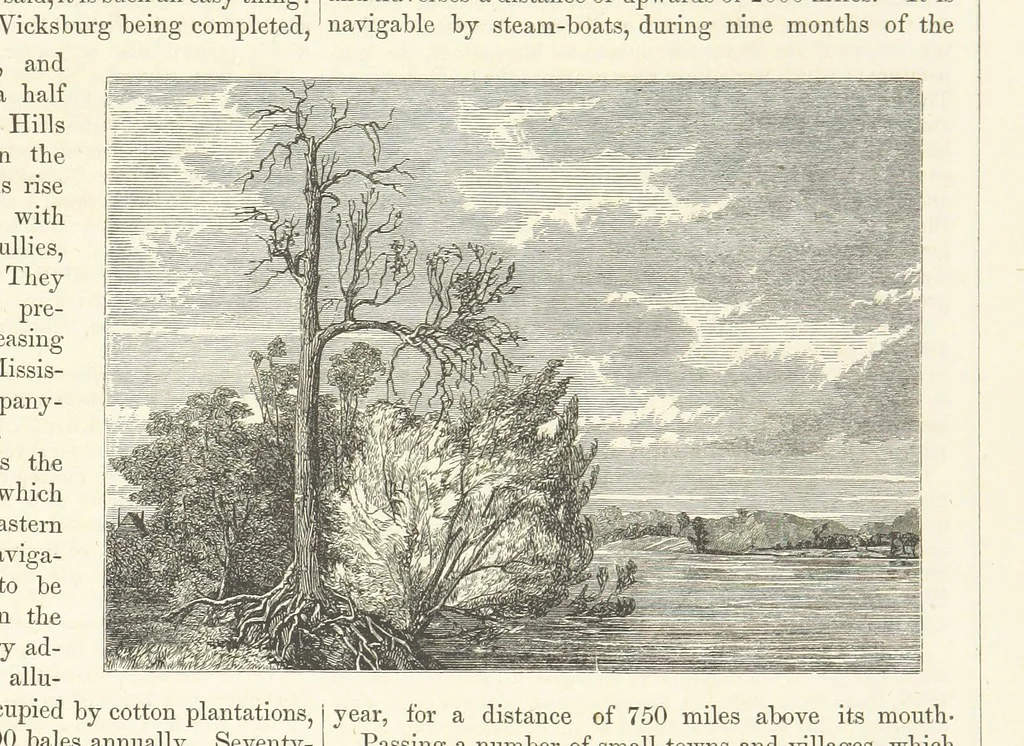 An illustration from Route from Liverpool to Great Salt Lake Valley illustrated ... from sketches ... by Frederick Piercy, and containing a map of the overland portion of the journey. Edited by J. Linforth. [With plates, including portraits, 1855, leaf 95