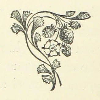An illustration from The Haven under the Hill. A novel, 1886, leaf 56