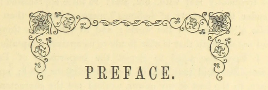 An illustration from Self and Self-sacrifice, or Nelly's Story, 1870, leaf 11