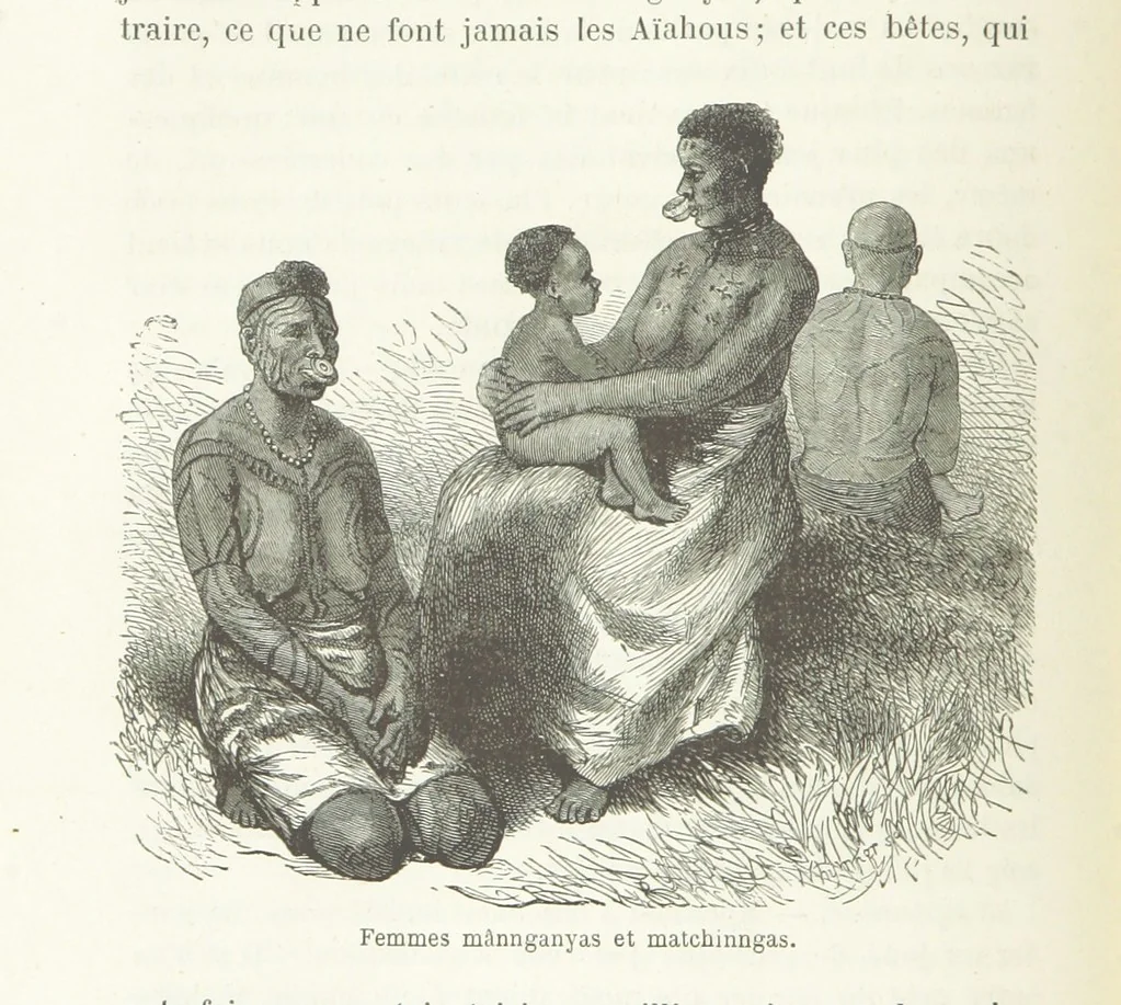 An illustration from Dernier Journal du docteur David Livingstone relatant des explorations et découvertes de 1866 à 1873, suivi du récit de ses derniers moments rédigé d'après le rapport de ... Chouma et Souzi par H. Waller. ... Ouvrage traduit de l'anglais ... par Mme. H. Loreau et contenant 60 gravures et 4 cartes, 1876, leaf 138
