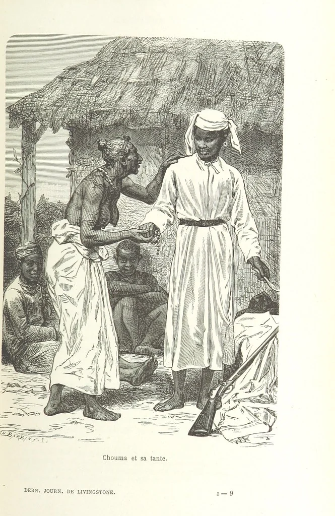 An illustration from Dernier Journal du docteur David Livingstone relatant des explorations et découvertes de 1866 à 1873, suivi du récit de ses derniers moments rédigé d'après le rapport de ... Chouma et Souzi par H. Waller. ... Ouvrage traduit de l'anglais ... par Mme. H. Loreau et contenant 60 gravures et 4 cartes, 1876, leaf 149