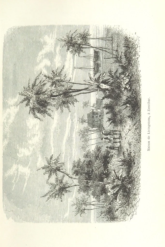 An illustration from Dernier Journal du docteur David Livingstone relatant des explorations et découvertes de 1866 à 1873, suivi du récit de ses derniers moments rédigé d'après le rapport de ... Chouma et Souzi par H. Waller. ... Ouvrage traduit de l'anglais ... par Mme. H. Loreau et contenant 60 gravures et 4 cartes, 1876, leaf 25