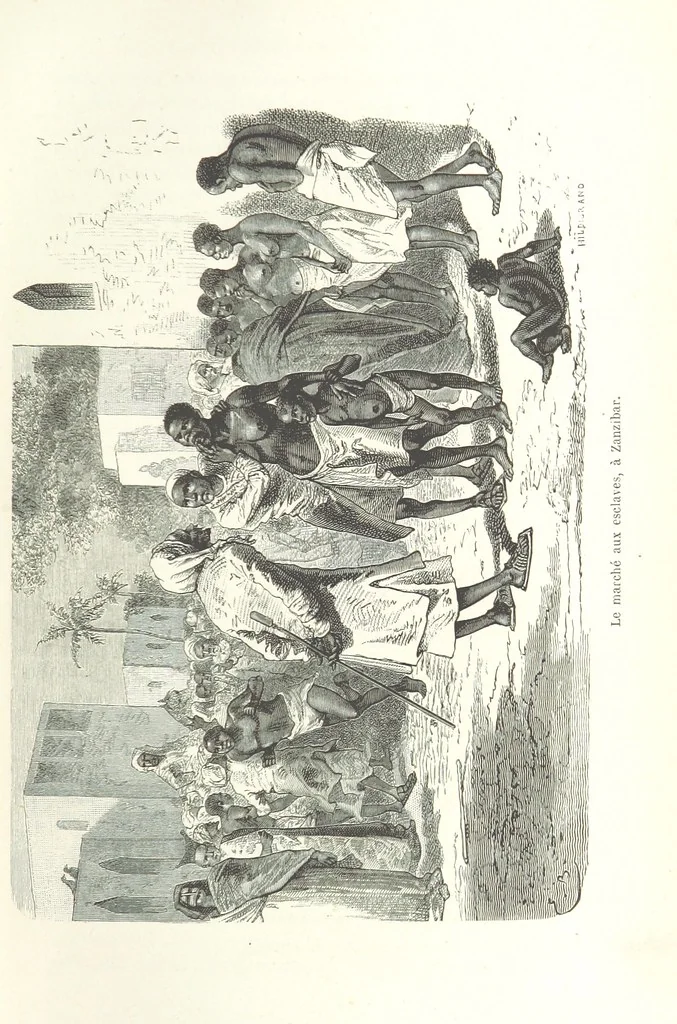 An illustration from Dernier Journal du docteur David Livingstone relatant des explorations et découvertes de 1866 à 1873, suivi du récit de ses derniers moments rédigé d'après le rapport de ... Chouma et Souzi par H. Waller. ... Ouvrage traduit de l'anglais ... par Mme. H. Loreau et contenant 60 gravures et 4 cartes, 1876, leaf 29