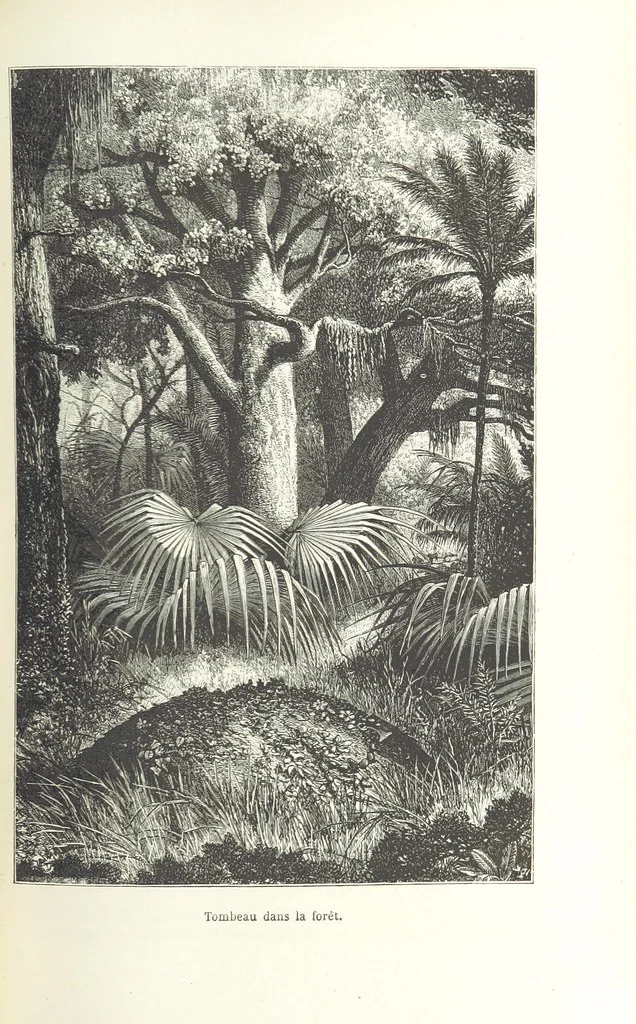 An illustration from Dernier Journal du docteur David Livingstone relatant des explorations et découvertes de 1866 à 1873, suivi du récit de ses derniers moments rédigé d'après le rapport de ... Chouma et Souzi par H. Waller. ... Ouvrage traduit de l'anglais ... par Mme. H. Loreau et contenant 60 gravures et 4 cartes, 1876, leaf 353