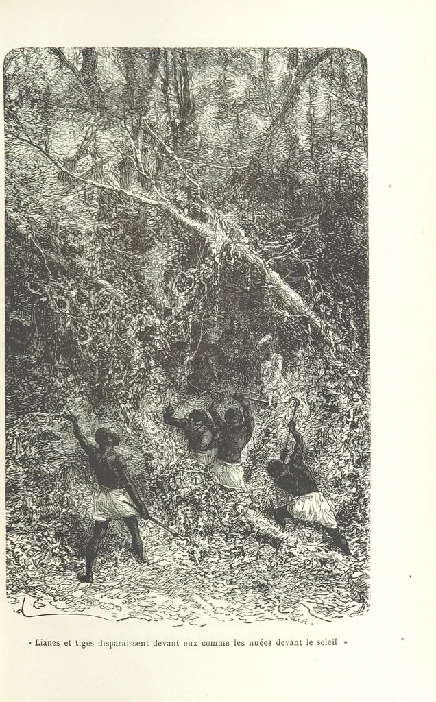 An illustration from Dernier Journal du docteur David Livingstone relatant des explorations et découvertes de 1866 à 1873, suivi du récit de ses derniers moments rédigé d'après le rapport de ... Chouma et Souzi par H. Waller. ... Ouvrage traduit de l'anglais ... par Mme. H. Loreau et contenant 60 gravures et 4 cartes, 1876, leaf 45
