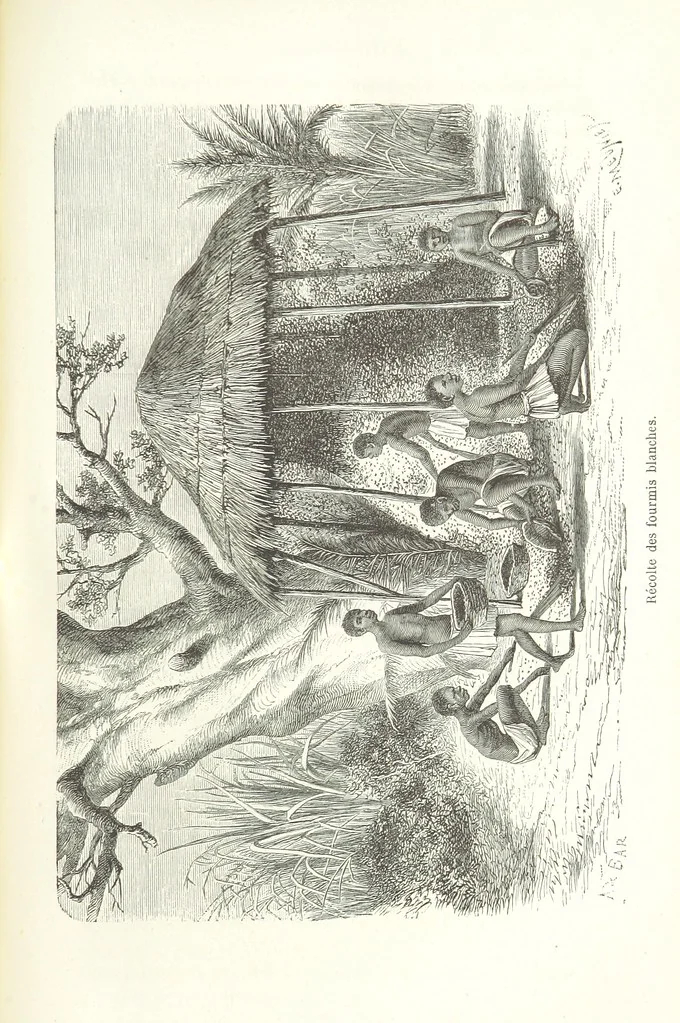 An illustration from Dernier Journal du docteur David Livingstone relatant des explorations et découvertes de 1866 à 1873, suivi du récit de ses derniers moments rédigé d'après le rapport de ... Chouma et Souzi par H. Waller. ... Ouvrage traduit de l'anglais ... par Mme. H. Loreau et contenant 60 gravures et 4 cartes, 1876, leaf 455