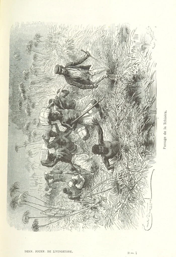 An illustration from Dernier Journal du docteur David Livingstone relatant des explorations et découvertes de 1866 à 1873, suivi du récit de ses derniers moments rédigé d'après le rapport de ... Chouma et Souzi par H. Waller. ... Ouvrage traduit de l'anglais ... par Mme. H. Loreau et contenant 60 gravures et 4 cartes, 1876, leaf 473