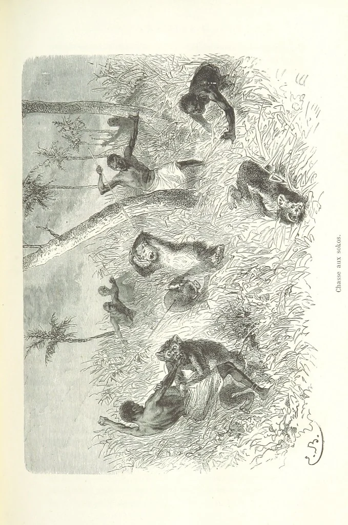 An illustration from Dernier Journal du docteur David Livingstone relatant des explorations et découvertes de 1866 à 1873, suivi du récit de ses derniers moments rédigé d'après le rapport de ... Chouma et Souzi par H. Waller. ... Ouvrage traduit de l'anglais ... par Mme. H. Loreau et contenant 60 gravures et 4 cartes, 1876, leaf 485