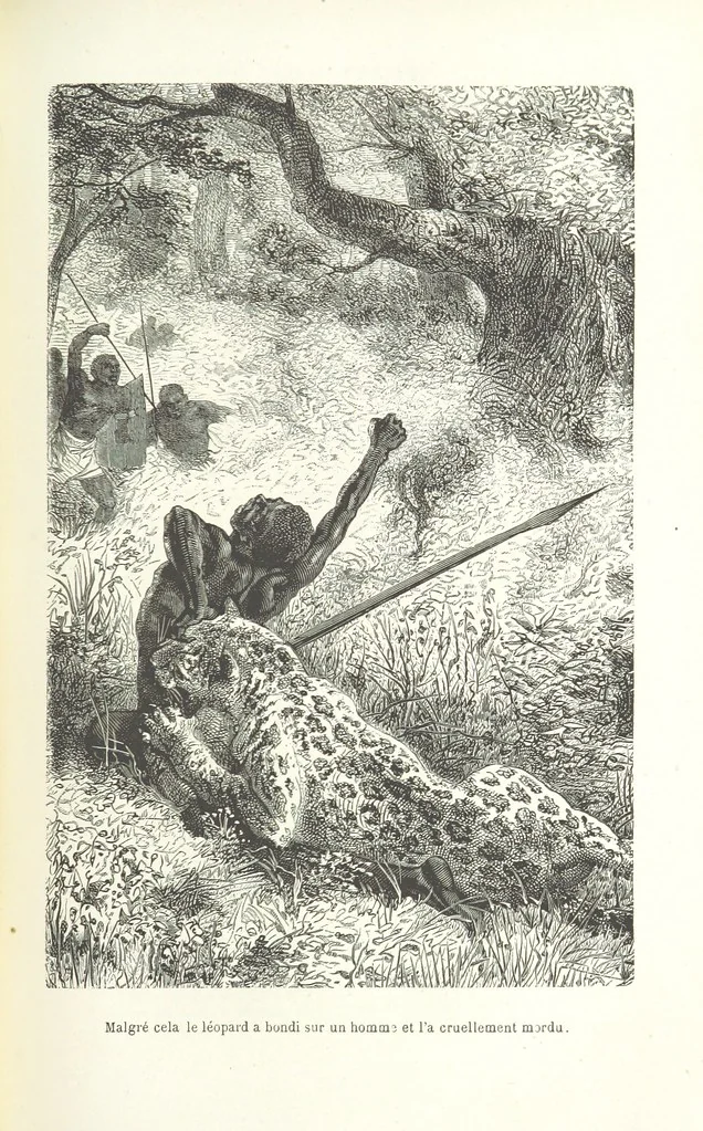 An illustration from Dernier Journal du docteur David Livingstone relatant des explorations et découvertes de 1866 à 1873, suivi du récit de ses derniers moments rédigé d'après le rapport de ... Chouma et Souzi par H. Waller. ... Ouvrage traduit de l'anglais ... par Mme. H. Loreau et contenant 60 gravures et 4 cartes, 1876, leaf 529