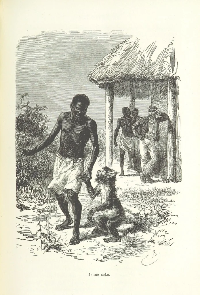 An illustration from Dernier Journal du docteur David Livingstone relatant des explorations et découvertes de 1866 à 1873, suivi du récit de ses derniers moments rédigé d'après le rapport de ... Chouma et Souzi par H. Waller. ... Ouvrage traduit de l'anglais ... par Mme. H. Loreau et contenant 60 gravures et 4 cartes, 1876, leaf 545