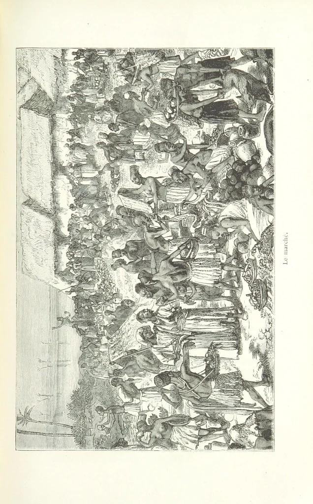 An illustration from Dernier Journal du docteur David Livingstone relatant des explorations et découvertes de 1866 à 1873, suivi du récit de ses derniers moments rédigé d'après le rapport de ... Chouma et Souzi par H. Waller. ... Ouvrage traduit de l'anglais ... par Mme. H. Loreau et contenant 60 gravures et 4 cartes, 1876, leaf 571