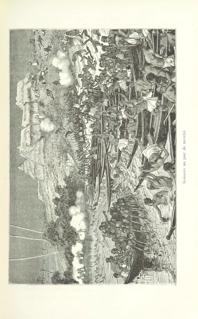 An illustration from Dernier Journal du docteur David Livingstone relatant des explorations et découvertes de 1866 à 1873, suivi du récit de ses derniers moments rédigé d'après le rapport de ... Chouma et Souzi par H. Waller. ... Ouvrage traduit de l'anglais ... par Mme. H. Loreau et contenant 60 gravures et 4 cartes, 1876, leaf 583