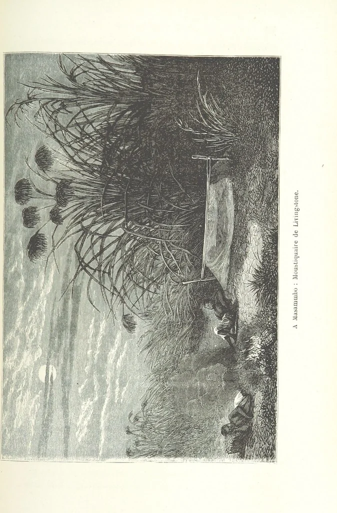 An illustration from Dernier Journal du docteur David Livingstone relatant des explorations et découvertes de 1866 à 1873, suivi du récit de ses derniers moments rédigé d'après le rapport de ... Chouma et Souzi par H. Waller. ... Ouvrage traduit de l'anglais ... par Mme. H. Loreau et contenant 60 gravures et 4 cartes, 1876, leaf 757