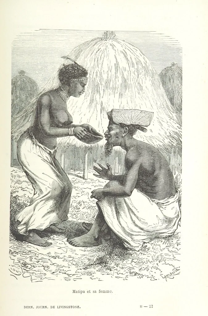 An illustration from Dernier Journal du docteur David Livingstone relatant des explorations et découvertes de 1866 à 1873, suivi du récit de ses derniers moments rédigé d'après le rapport de ... Chouma et Souzi par H. Waller. ... Ouvrage traduit de l'anglais ... par Mme. H. Loreau et contenant 60 gravures et 4 cartes, 1876, leaf 761