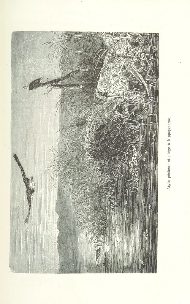 An illustration from Dernier Journal du docteur David Livingstone relatant des explorations et découvertes de 1866 à 1873, suivi du récit de ses derniers moments rédigé d'après le rapport de ... Chouma et Souzi par H. Waller. ... Ouvrage traduit de l'anglais ... par Mme. H. Loreau et contenant 60 gravures et 4 cartes, 1876, leaf 773
