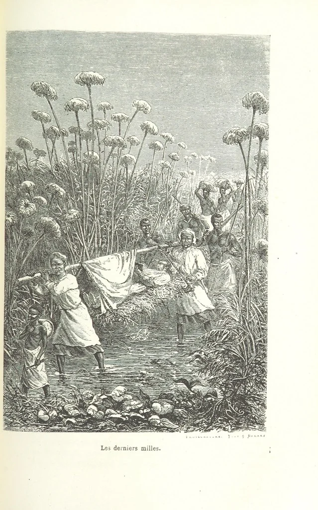 An illustration from Dernier Journal du docteur David Livingstone relatant des explorations et découvertes de 1866 à 1873, suivi du récit de ses derniers moments rédigé d'après le rapport de ... Chouma et Souzi par H. Waller. ... Ouvrage traduit de l'anglais ... par Mme. H. Loreau et contenant 60 gravures et 4 cartes, 1876, leaf 781