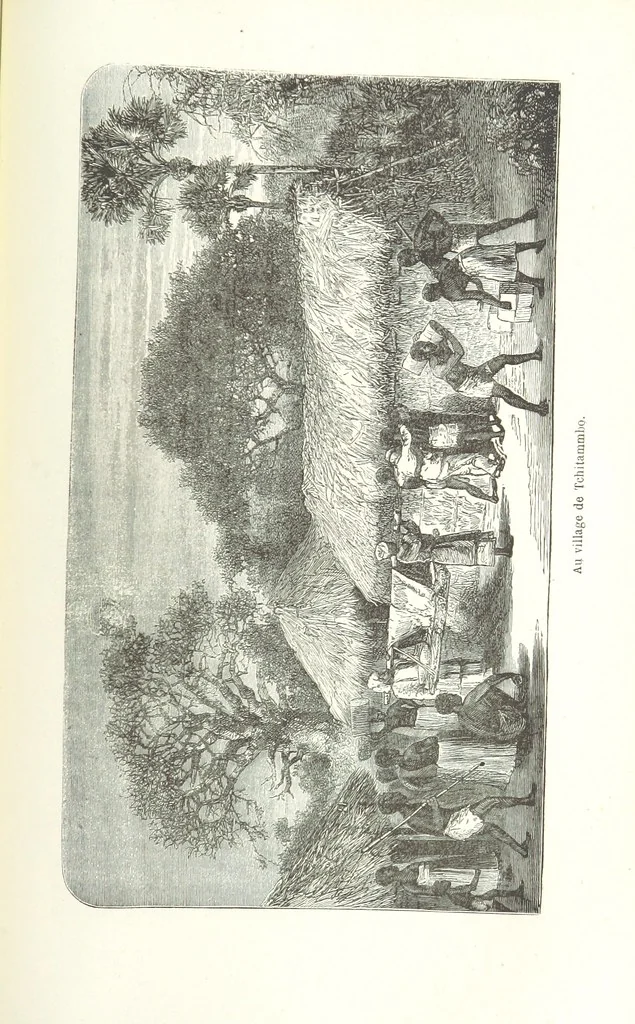 An illustration from Dernier Journal du docteur David Livingstone relatant des explorations et découvertes de 1866 à 1873, suivi du récit de ses derniers moments rédigé d'après le rapport de ... Chouma et Souzi par H. Waller. ... Ouvrage traduit de l'anglais ... par Mme. H. Loreau et contenant 60 gravures et 4 cartes, 1876, leaf 787