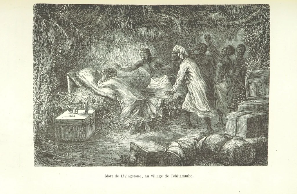 An illustration from Dernier Journal du docteur David Livingstone relatant des explorations et découvertes de 1866 à 1873, suivi du récit de ses derniers moments rédigé d'après le rapport de ... Chouma et Souzi par H. Waller. ... Ouvrage traduit de l'anglais ... par Mme. H. Loreau et contenant 60 gravures et 4 cartes, 1876, leaf 791