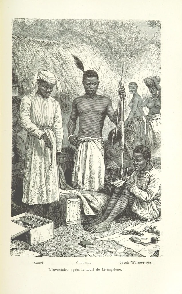 An illustration from Dernier Journal du docteur David Livingstone relatant des explorations et découvertes de 1866 à 1873, suivi du récit de ses derniers moments rédigé d'après le rapport de ... Chouma et Souzi par H. Waller. ... Ouvrage traduit de l'anglais ... par Mme. H. Loreau et contenant 60 gravures et 4 cartes, 1876, leaf 795