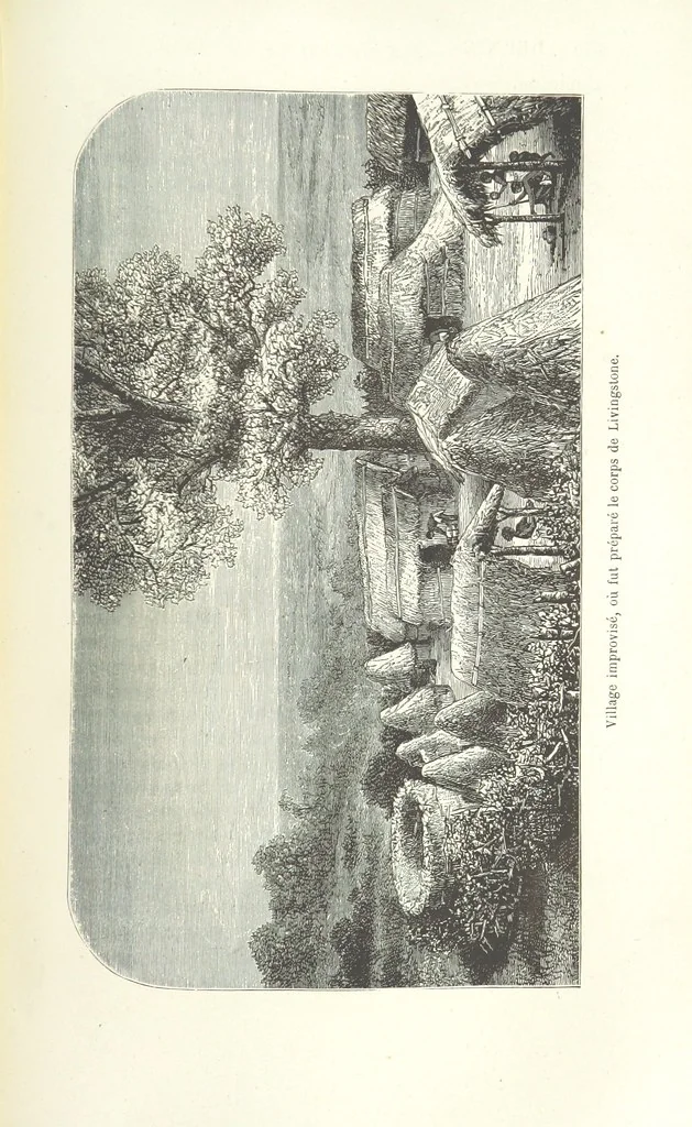 An illustration from Dernier Journal du docteur David Livingstone relatant des explorations et découvertes de 1866 à 1873, suivi du récit de ses derniers moments rédigé d'après le rapport de ... Chouma et Souzi par H. Waller. ... Ouvrage traduit de l'anglais ... par Mme. H. Loreau et contenant 60 gravures et 4 cartes, 1876, leaf 801