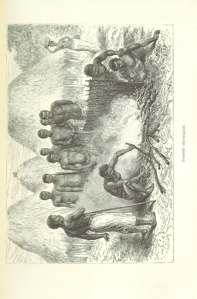 An illustration from Dernier Journal du docteur David Livingstone relatant des explorations et découvertes de 1866 à 1873, suivi du récit de ses derniers moments rédigé d'après le rapport de ... Chouma et Souzi par H. Waller. ... Ouvrage traduit de l'anglais ... par Mme. H. Loreau et contenant 60 gravures et 4 cartes, 1876, leaf 813